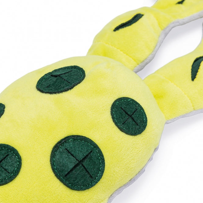 Beeztees Hide and Seek Frosch