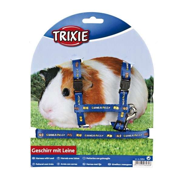 Meerschweinchen Garnitur mit Motiv