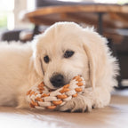 Beeztees Puppy Dental Seilring Mik