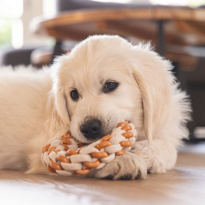 Beeztees Puppy Dental Seilring Mik