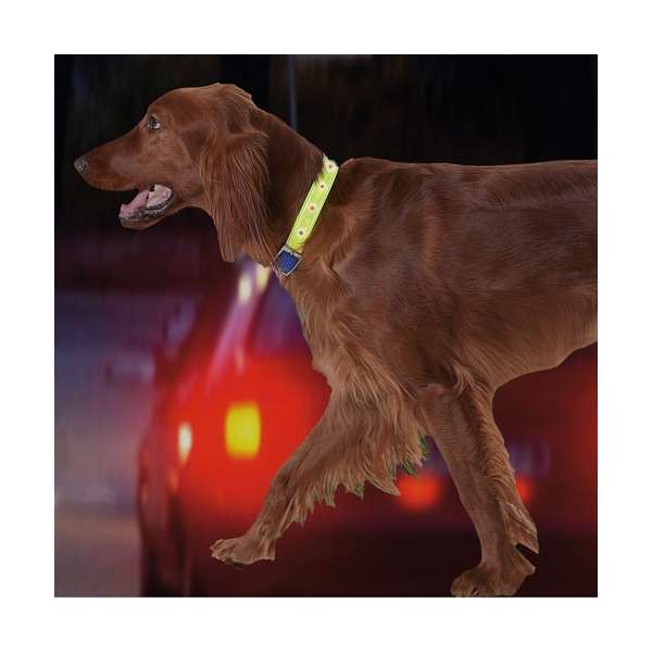 Karlie Safety Light - blinkendes Sicherheitshalsband