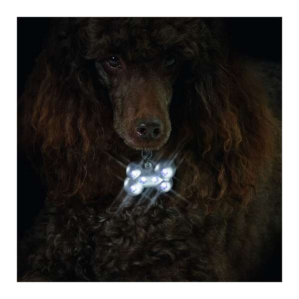 Karlie LED - Sicherheitsblinker Blinki Bone