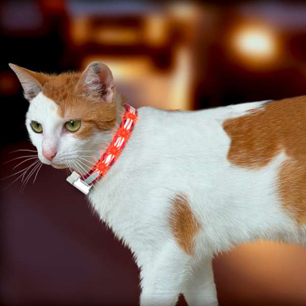 Karlie LED Katzenhalsband leuchtend für Nachtsicherheit