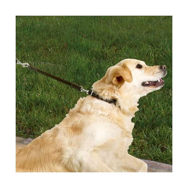 Karlie Protector Plus Hundebremse