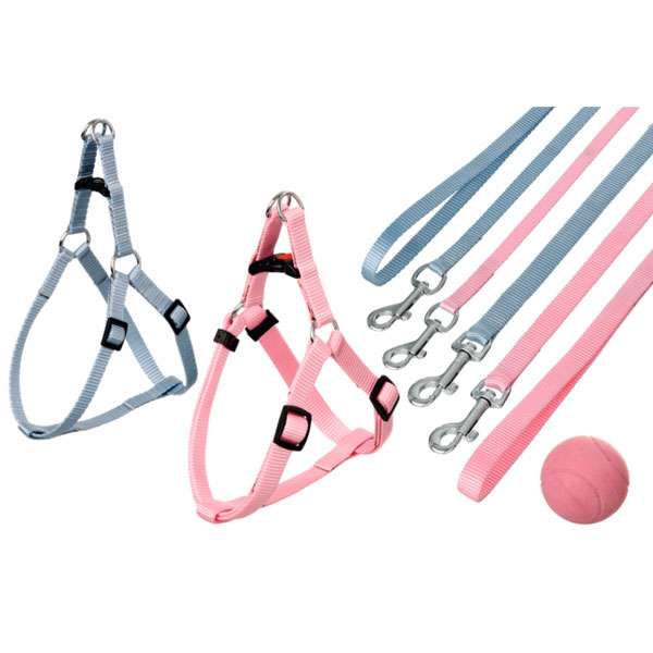 Puppy Set STEP&GO