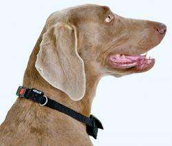 Karlie TOM DOG 2in1 Halsband + Leine