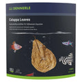 Dennerle_Catappa_Leaves_Seemandelbaumblätter_10_Stück