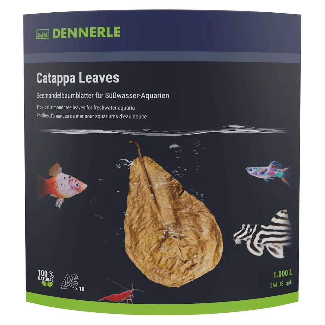 Dennerle_Catappa_Leaves_Seemandelbaumblätter_10_Stück
