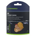 Dennerle_Nano_Catappa_Leaves_Seemandelbaumblätter_12_Stück