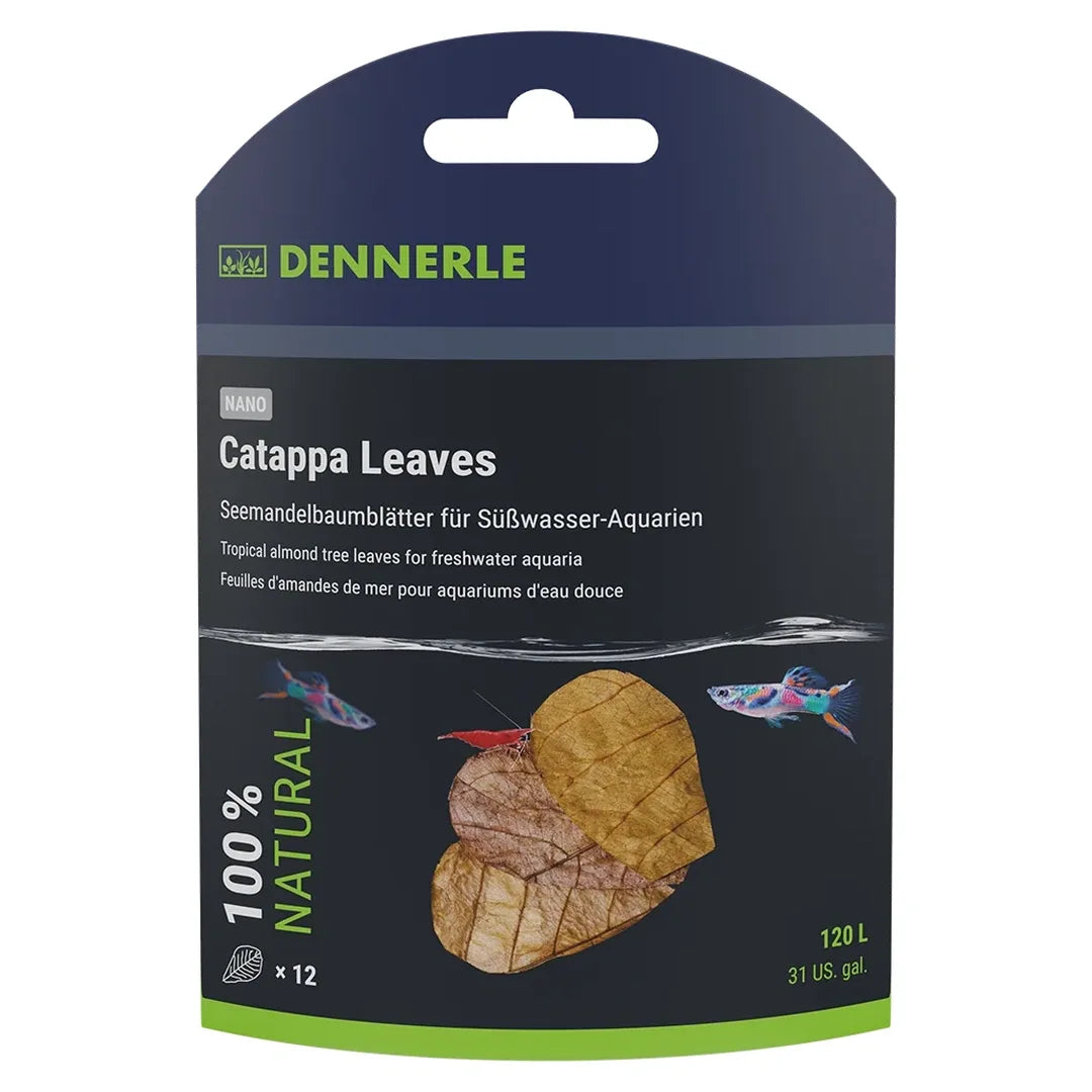 Dennerle_Nano_Catappa_Leaves_Seemandelbaumblätter_12_Stück