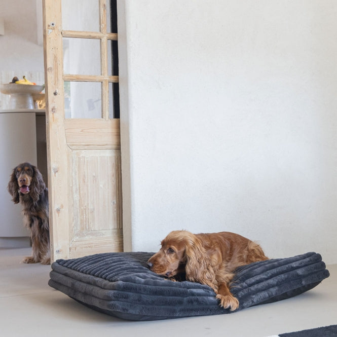 Designed by Lotte Hundekissen Reza