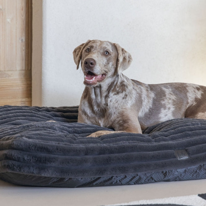 Designed by Lotte Hundekissen Reza