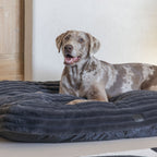 Designed by Lotte Hundekissen Reza