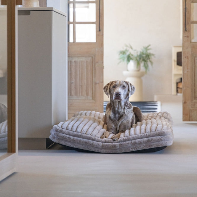 Designed by Lotte Hundekissen Reza