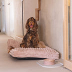 Designed by Lotte Hundekissen Reza