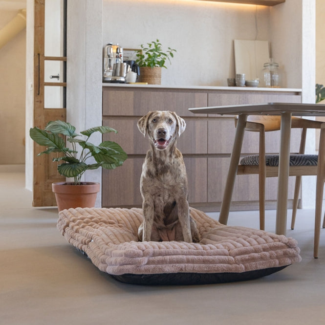 Designed by Lotte Hundekissen Reza