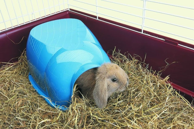 Savic Nagerhaus Cocoon