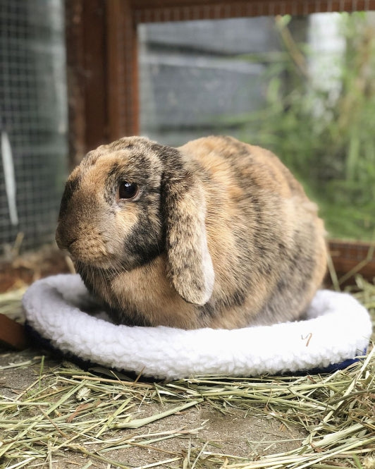 Nobby Kuschelbett für Nager