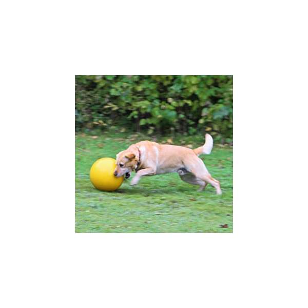 Kerbl Hundespielball