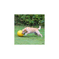 Kerbl Hundespielball