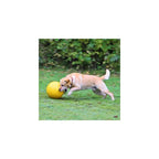 Kerbl Hundespielball