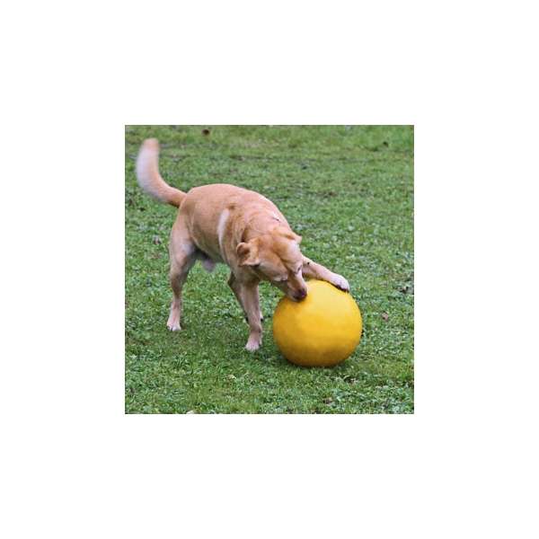 Kerbl Hundespielball