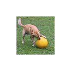 Kerbl Hundespielball