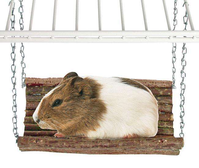 Rody Swing Nagerschaukel