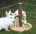 Futterbaum