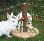 Futterbaum