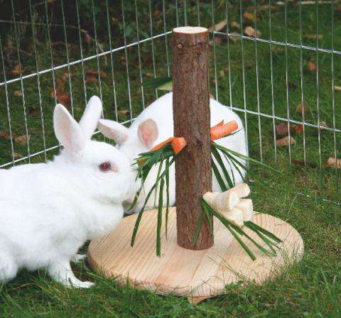 Futterbaum