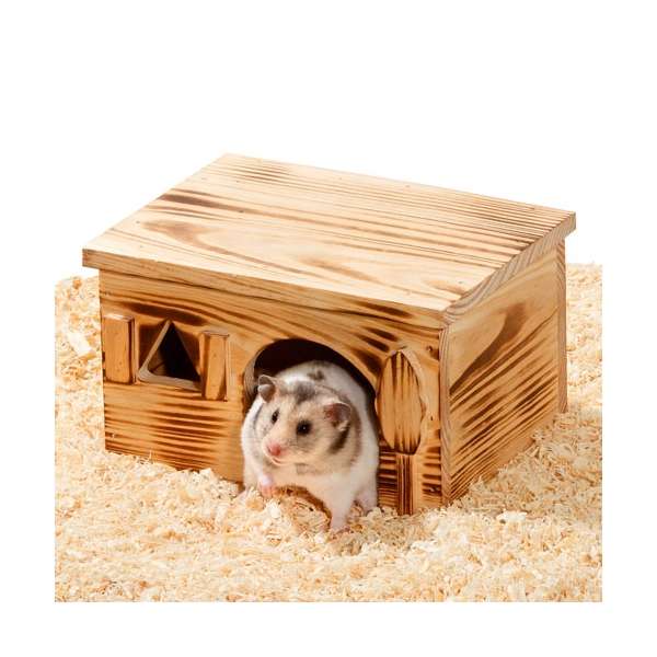 Nagerhaus Loft aus geflammtem Holz