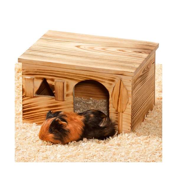 Nagerhaus Loft aus geflammtem Holz