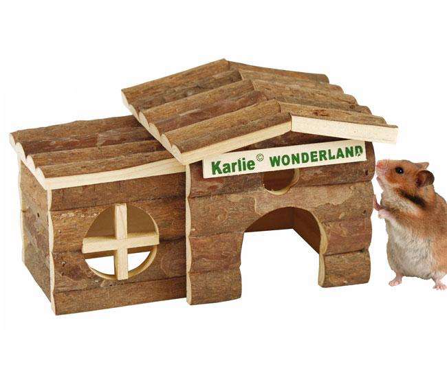 Holzhaus ONTARIO