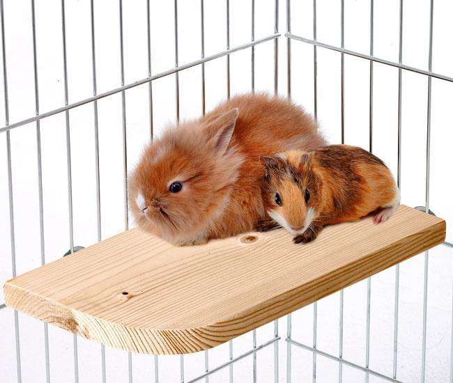 Holz Sitzboard