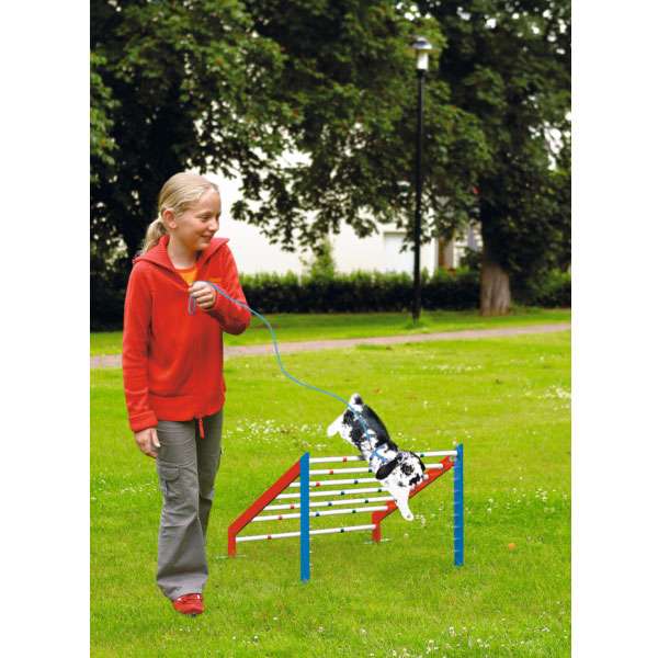 Flamingo Bunny Sports Hindernis Hopp 2