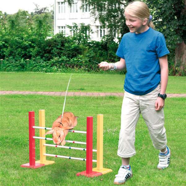 Flamingo Bunny Sports Hindernis Hopp 3