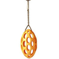 Boomer Bird Nut Case