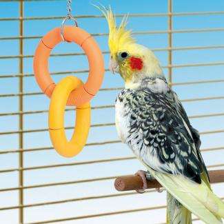 Boomer Bird Swing