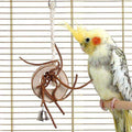 Naturholzring für Vögel