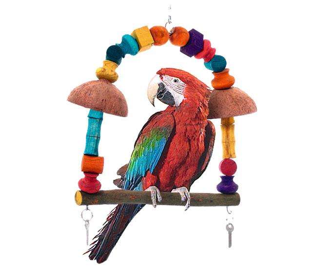 Papageien Schaukel RIO DE JAINERO