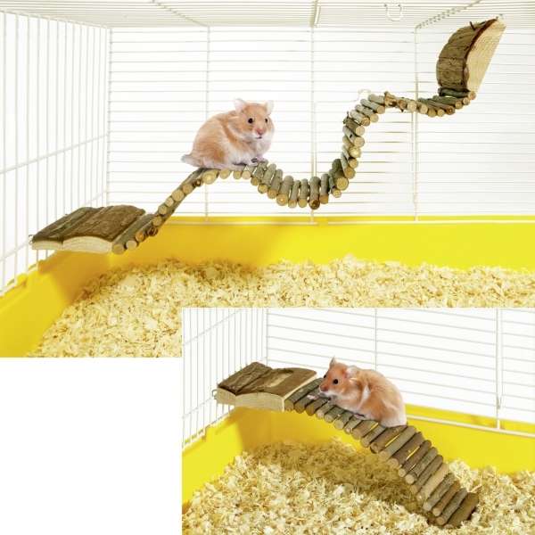 Hamsterleiter
