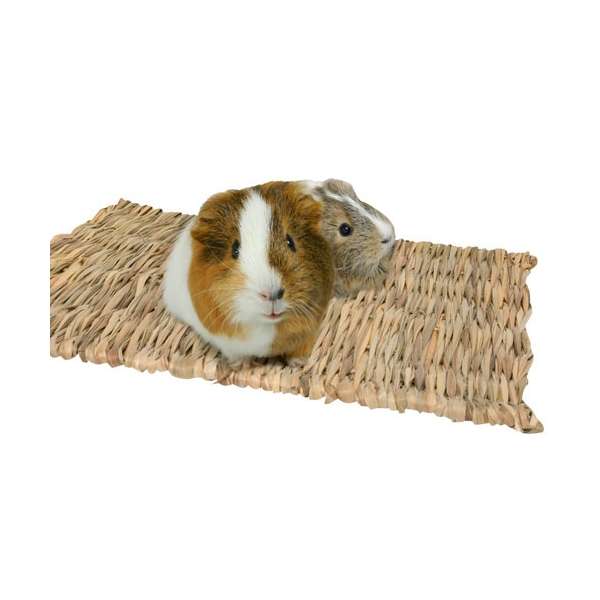 Rody Mat