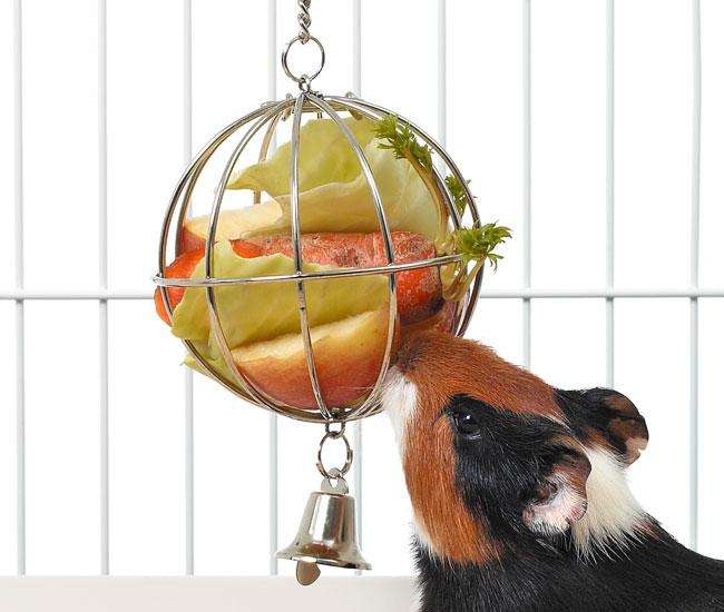 Rody Futterball mit Futterluke