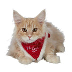Trixie Xmas Halsband Necki