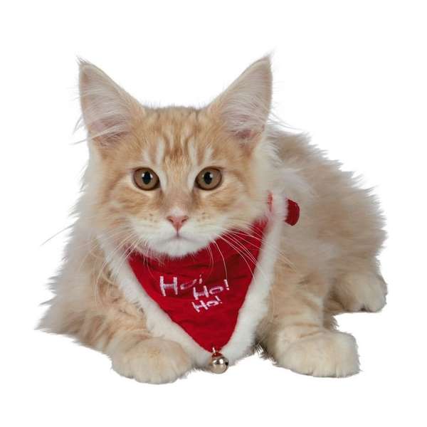 Trixie Xmas Halsband Necki