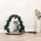 Trixie Xmas Massage - und Fellpflegebogen