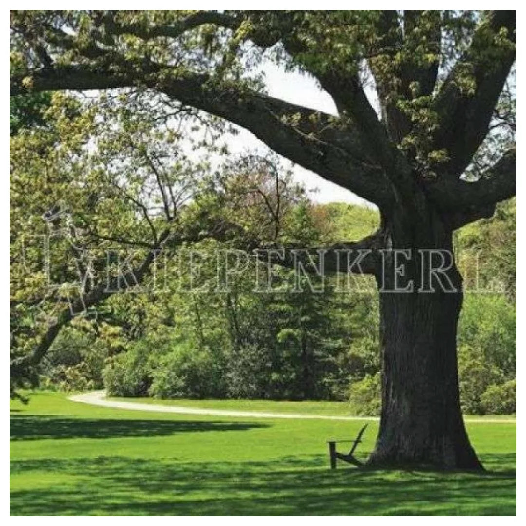 Kiepenkerl_RSM_7.1.1_Landschaftsrasen_Standard_10kg
