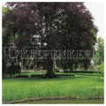 Kiepenkerl_RSM_7.3.1_Landschaftsrasen_Feuchtlagen_10kg