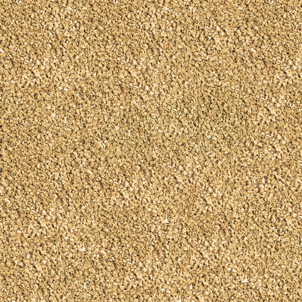 Sera_Betta_Granules_Futter